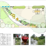 examples of landscape design work