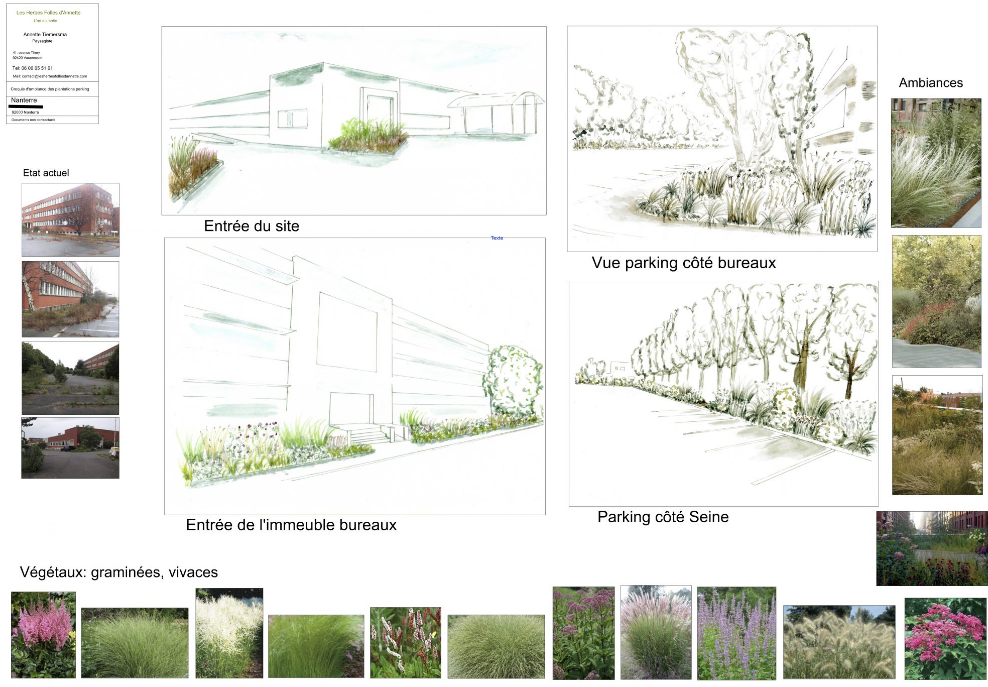 Landscape design software